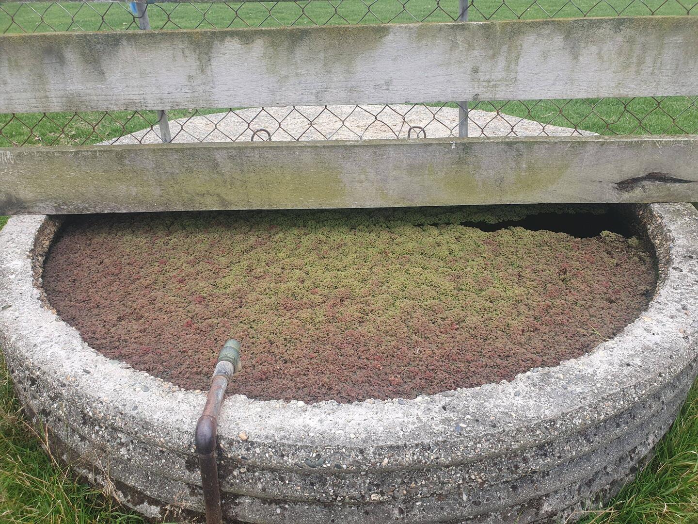 Farm life! Memories!