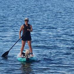 Katie and her canine babies.....they love the paddle board.