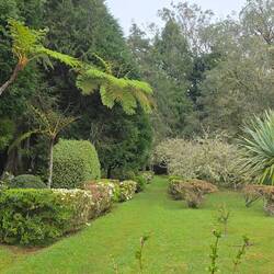 Garten in Santo de Serra