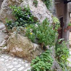 Sembra naturale ma sono tutti "vasi nella roccia"