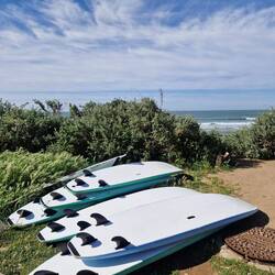 D Brätter si zwäg.