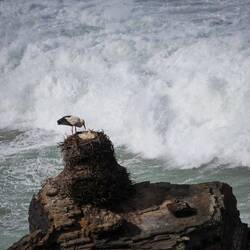 Sehr weit weg und windig... Ohne Stativ schwer...