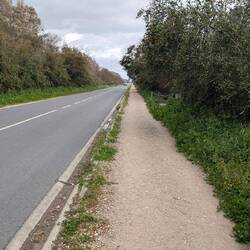 Die letzten Kilometer...geradeaus neben einer Straße, sehr eintönig.
