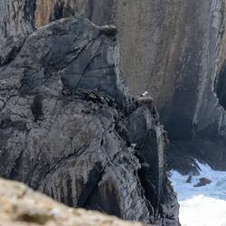 Endlich, Störche!🤩