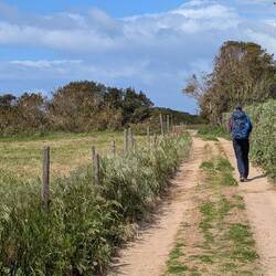 Ein bisschen durchs Hinterland...