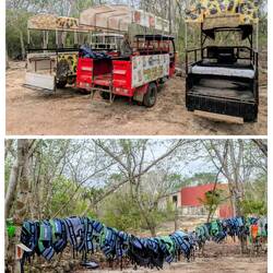 Alles vorhanden, jetzt kons los geh zur zwoatn Cenote Cleotilde