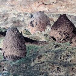 Schwalben wohnen auch hier