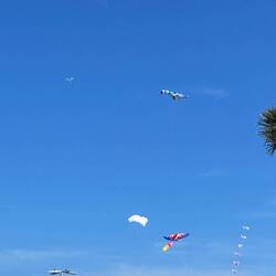 Lots of kites flying today