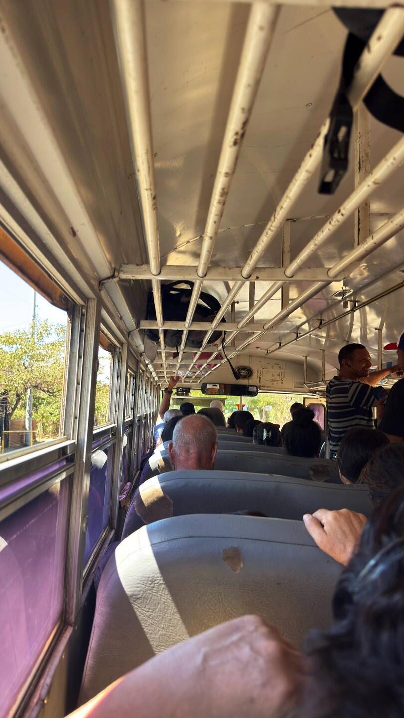 Chickenbus