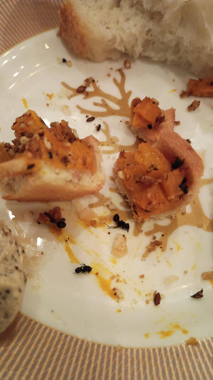 Yes, they were dead. 🐜😁