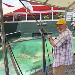 Feeding the young crocodiles