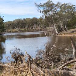 ... Duck Lagoon