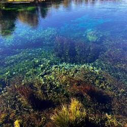 Te Waikoropupu Springs