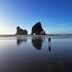 Hat mehrere Versuche gebraucht 😂