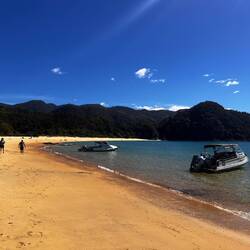 Anchorage Bay: Hier wandern wir los