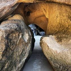 Wer findet Oscar? 😂