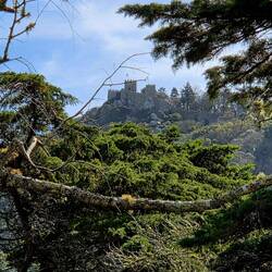 Moorish castle Sintra
