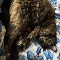 Birdie weiß genau, was an solchen Tagen das Beste ist!