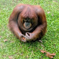 Catherine mit Mandeln