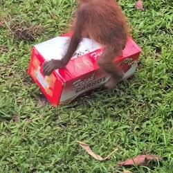 Wie kriegt man die denn auf?