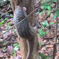 Alles ist so spannend 😃