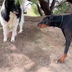 ..bye bye Elea Beach wir REISEN weiter Richtung Norden 😉