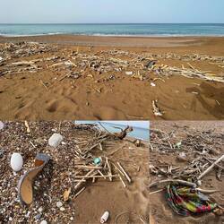 ..aber am Strand liegt noch genügend rum..🥲