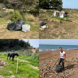 ..einen kleinen Beitrag möchte ich sehr gerne leisten.Ist mir ein richtiges Herzensbedürfnis 🥰😍