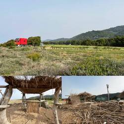 ..die Beach Bar sieht bis auf die Berge von Bambus ganz ok aus.Hier wurde der Müll schon entfernt 💪🏻