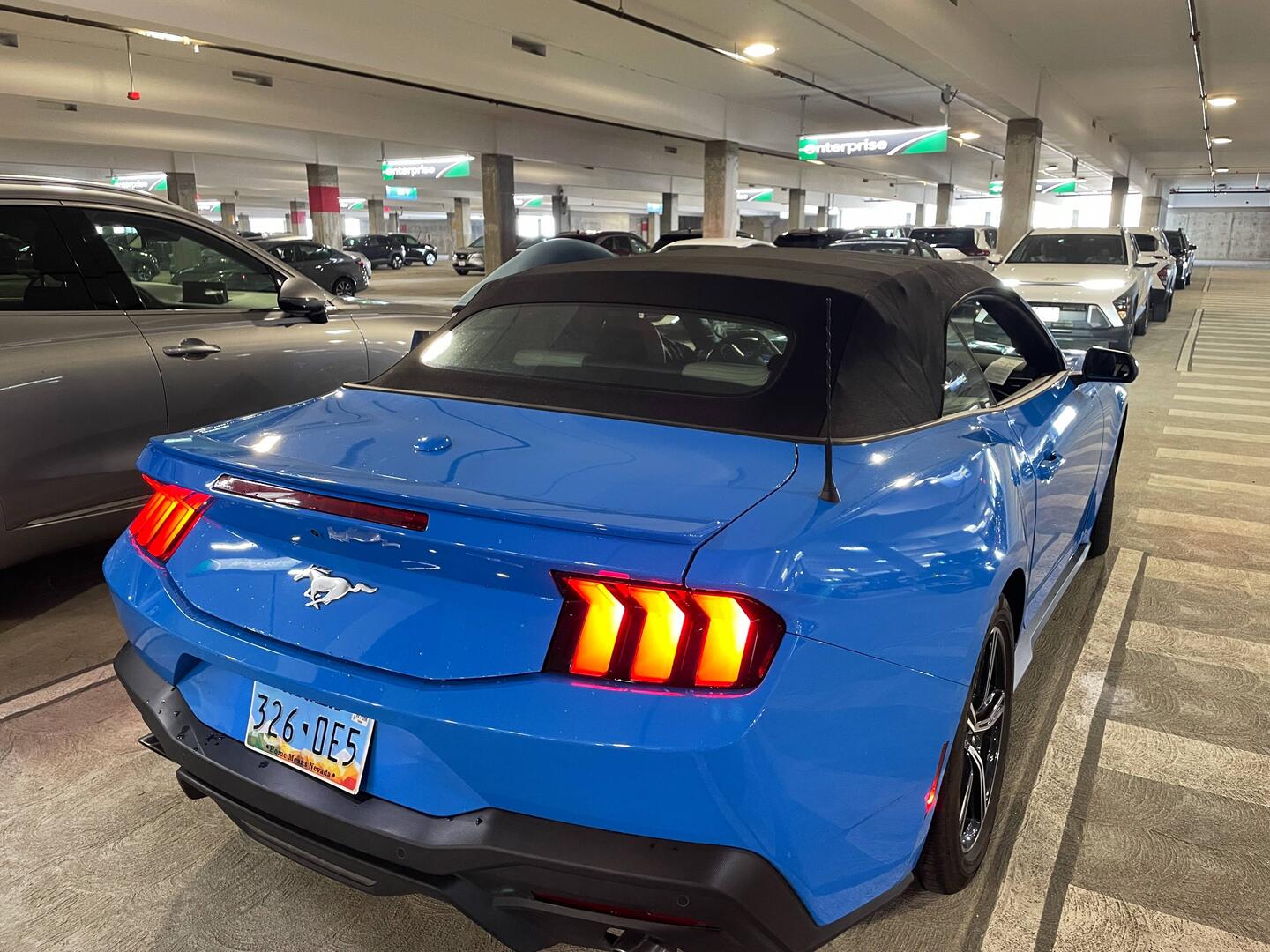 The Mustang
