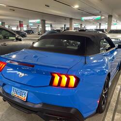 The Mustang