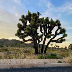 Desert Hot Springs