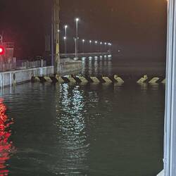 Going through our first lock - Gabčíkovo Dam - since Vienna (10 more to go!)