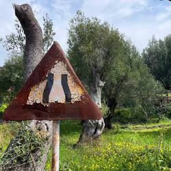 der Aufstieg beginnt