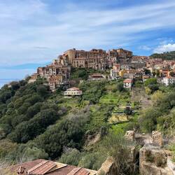 Pisciotta rückt näher ...