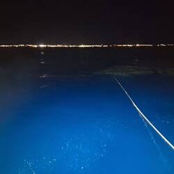 Night dive, scho wieder i dä nächi vo dä Zivilisation...