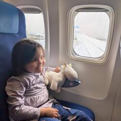 Mona mag Fliegen und Einhörner