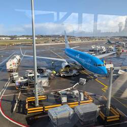 Wer findet die Kinderwägen/Buggies? Und das Wetter ... es sah sooo vielversprechend aus. Ach ja ...