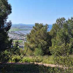 Landwirtschaft unter Folie