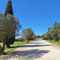 Hier starten die schönen Wanderwege