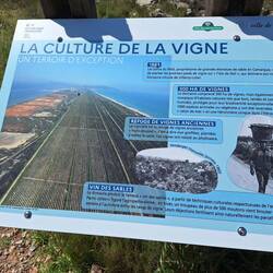 Früher Salinen, heute Weinanbau