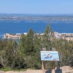 Nochmal Aquakultur (Austern und Muscheln)