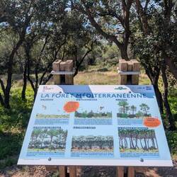 Infos zum Baumbestand