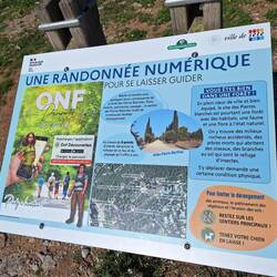 Infos zum Staatswald Pierres Blanches