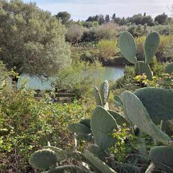 Traumplatz am Fluss 😍
