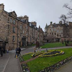 Duftende Blumen, saftiges Gras, Geschichte, Kultur und SCHEISSWETTER