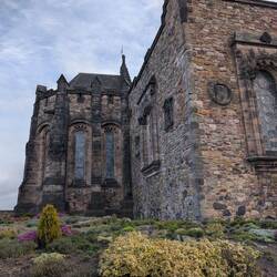 Ein bisschen Grün im tristen Grau der Edinburghburg.
