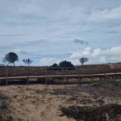 D Houzwäge wosi am boue si.