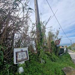 D Strossebeschriftige si geng so schön gmacht 😊.