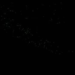 Alles Glühwürmchen 💡🐛